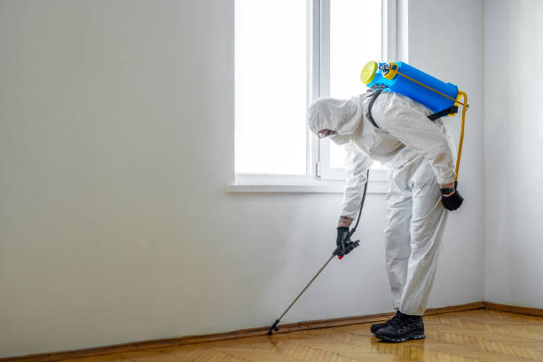 Best Pest Control for Businesses  in Boone, IA