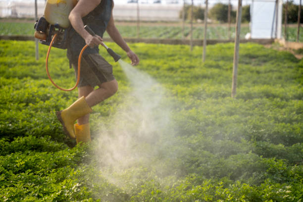 Best Residential Pest Control  in Boone, IA