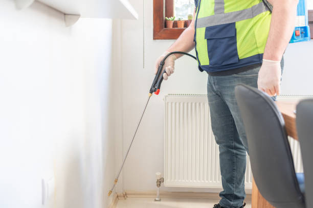 Best Cockroach Control Services  in Boone, IA